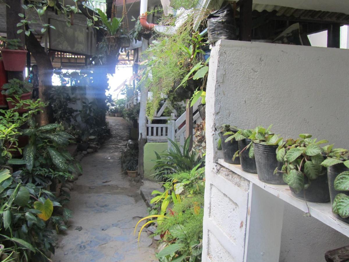 Islandfront Cottages And Restaurant El Nido Buitenkant foto